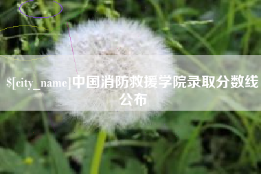 博尔塔拉蒙古中国消防救援学院录取分数线公布