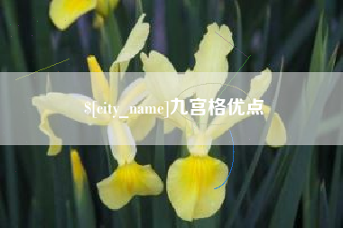 博尔塔拉蒙古九宫格优点
