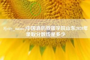 博尔塔拉蒙古中国消防救援学院山东2020年录取分数线是多少