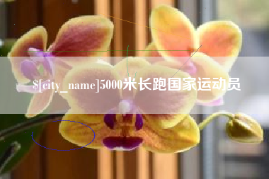 博尔塔拉蒙古5000米长跑国家运动员