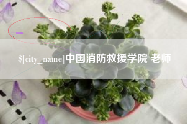 博尔塔拉蒙古中国消防救援学院 老师