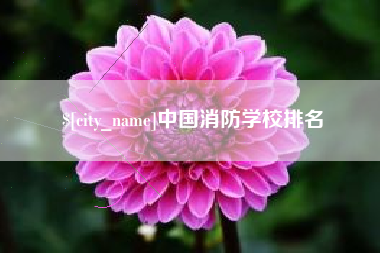 博尔塔拉蒙古中国消防学校排名