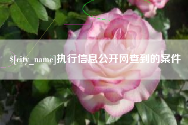 博尔塔拉蒙古执行信息公开网查到的案件