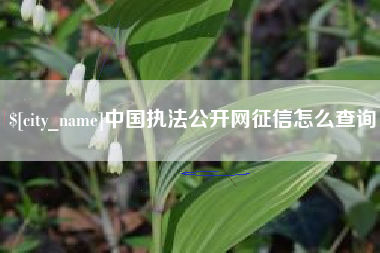 博尔塔拉蒙古中国执法公开网征信怎么查询