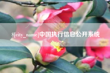 博尔塔拉蒙古中国执行信息公开系统