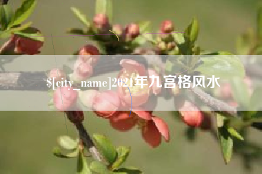 博尔塔拉蒙古2021年九宫格风水