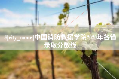 博尔塔拉蒙古中国消防救援学院2020年各省录取分数线