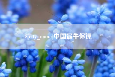 博尔塔拉蒙古中国最牛保镖