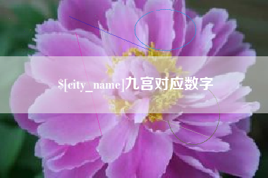 博尔塔拉蒙古九宫对应数字