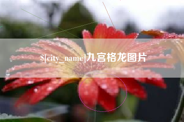 博尔塔拉蒙古九宫格龙图片