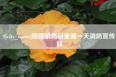 博尔塔拉蒙古我国消防日是哪一天消防宣传日