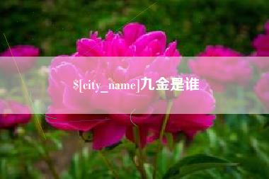 博尔塔拉蒙古九金是谁