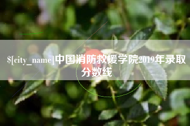 博尔塔拉蒙古中国消防救援学院2019年录取分数线