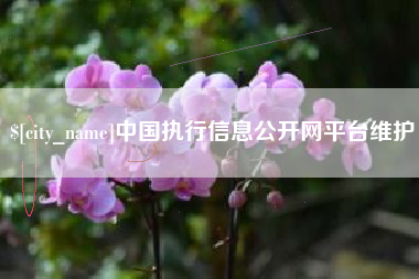 博尔塔拉蒙古中国执行信息公开网平台维护