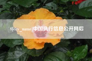 博尔塔拉蒙古中国执行信息公开网后