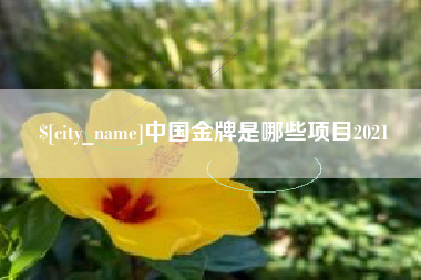 博尔塔拉蒙古中国金牌是哪些项目2021