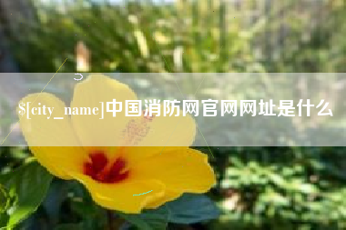 博尔塔拉蒙古中国消防网官网网址是什么