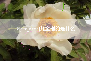博尔塔拉蒙古九金指的是什么
