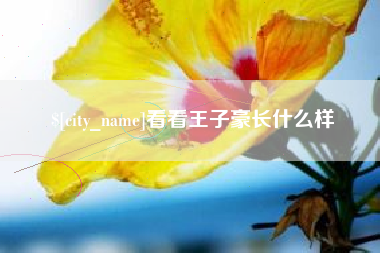 博尔塔拉蒙古看看王子豪长什么样