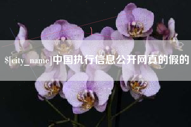 博尔塔拉蒙古中国执行信息公开网真的假的
