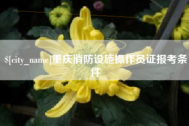 博尔塔拉蒙古重庆消防设施操作员证报考条件