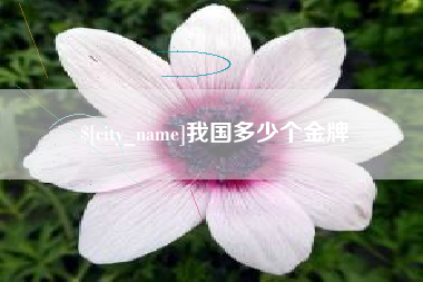 博尔塔拉蒙古我国多少个金牌