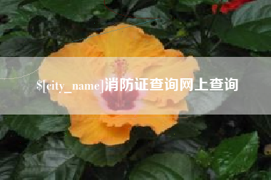 博尔塔拉蒙古消防证查询网上查询