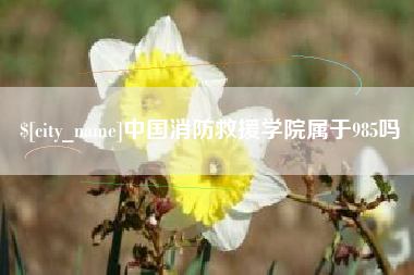 博尔塔拉蒙古中国消防救援学院属于985吗