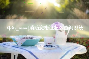 博尔塔拉蒙古消防资格证怎么查询系统