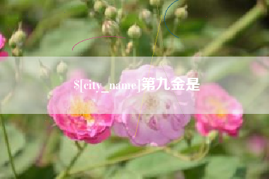 博尔塔拉蒙古第九金是