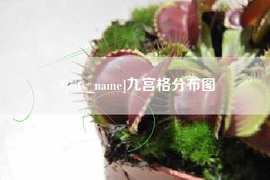 博尔塔拉蒙古九宫格分布图