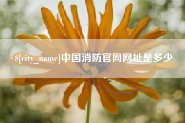 博尔塔拉蒙古中国消防官网网址是多少
