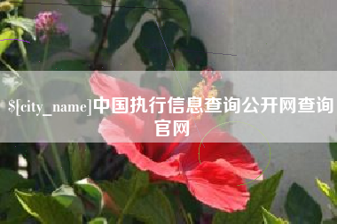 博尔塔拉蒙古中国执行信息查询公开网查询官网