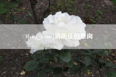 博尔塔拉蒙古消防证的查询