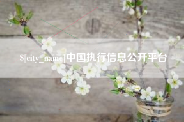博尔塔拉蒙古中国执行信息公开平台