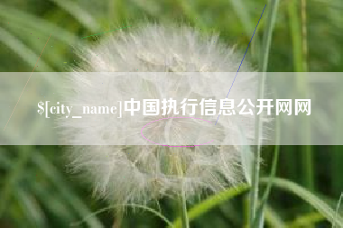 博尔塔拉蒙古中国执行信息公开网网