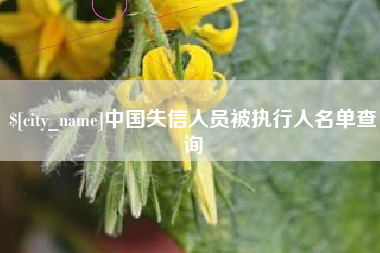 博尔塔拉蒙古中国失信人员被执行人名单查询
