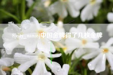 博尔塔拉蒙古中国金牌得了几枚金牌