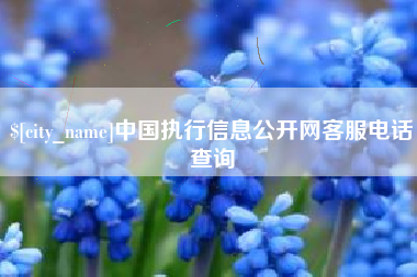博尔塔拉蒙古中国执行信息公开网客服电话查询