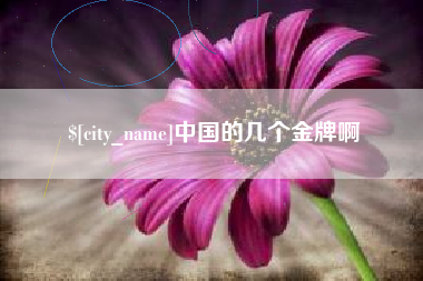 博尔塔拉蒙古中国的几个金牌啊