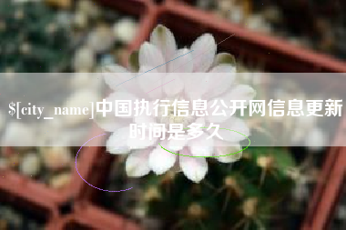 博尔塔拉蒙古中国执行信息公开网信息更新时间是多久