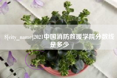 博尔塔拉蒙古2021中国消防救援学院分数线是多少
