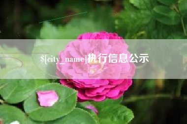 博尔塔拉蒙古执行信息公示