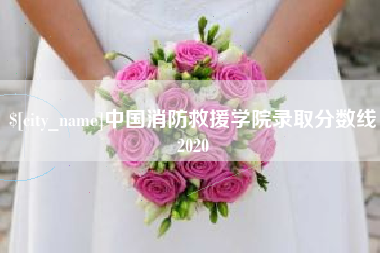 博尔塔拉蒙古中国消防救援学院录取分数线2020