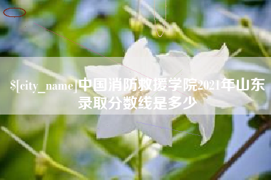 博尔塔拉蒙古中国消防救援学院2021年山东录取分数线是多少