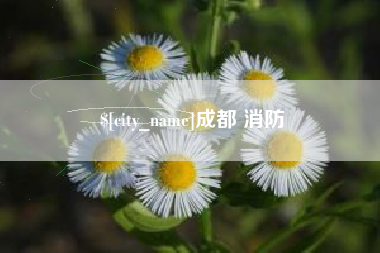 博尔塔拉蒙古成都 消防