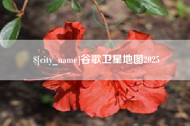 博尔塔拉蒙古谷歌卫星地图2025