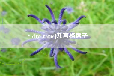 博尔塔拉蒙古九宫格盘子