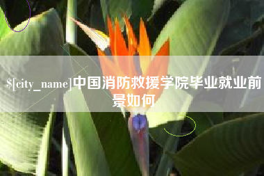 博尔塔拉蒙古中国消防救援学院毕业就业前景如何