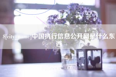 博尔塔拉蒙古中国执行信息公开网是什么东西